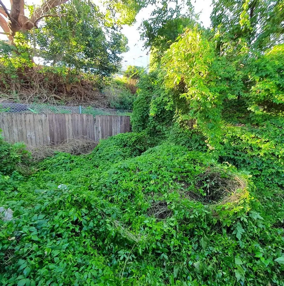 Reliable residential landscaping experts serving San Antonio, TX - Windcrest Lawn Services