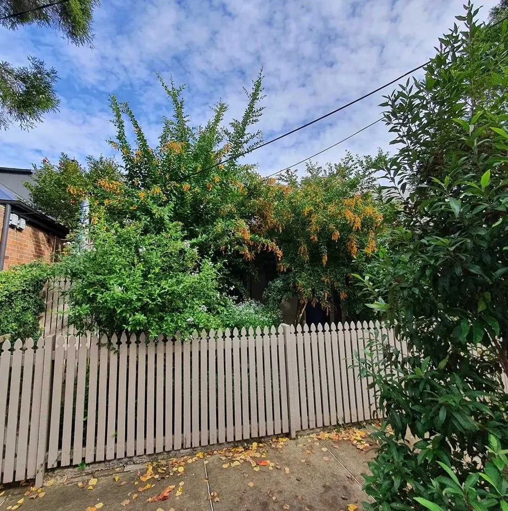 Top-rated residential landscaping for homes across San Antonio, TX - Windcrest Lawn Services