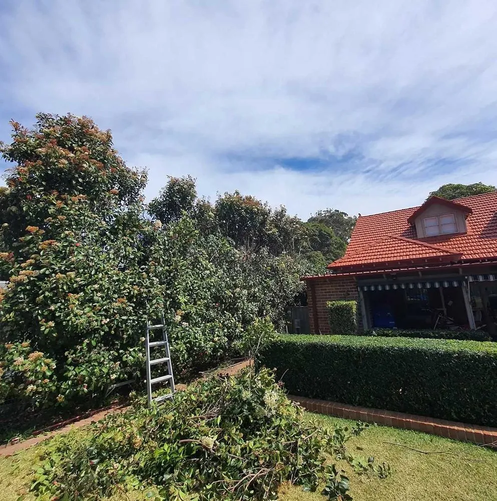 Reliable garden landscaping with custom design across San Antonio, TX - Windcrest Lawn Services