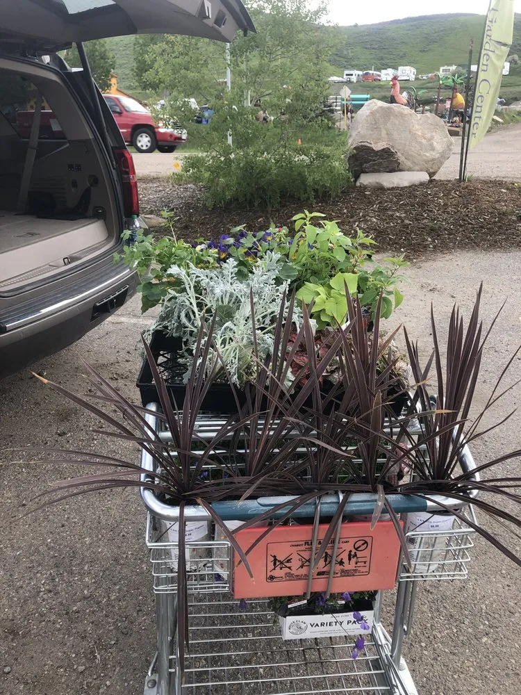 Reliable lawn care service in Steamboat Springs, CO by Windemere Lanscape