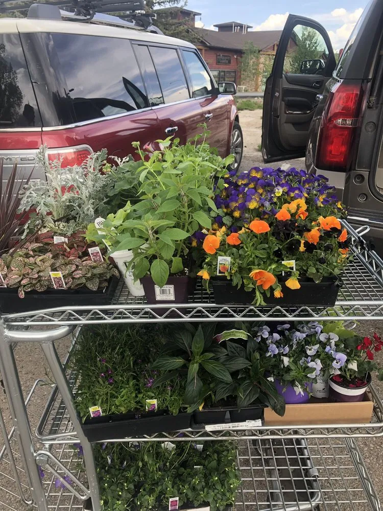 Affordable landscaping services experts serving Steamboat Springs, CO - Windemere Lanscape