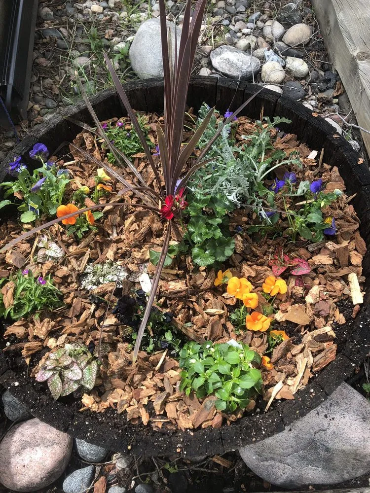 Expert garden landscaping for year-round maintenance across Steamboat Springs, CO - Windemere Lanscape