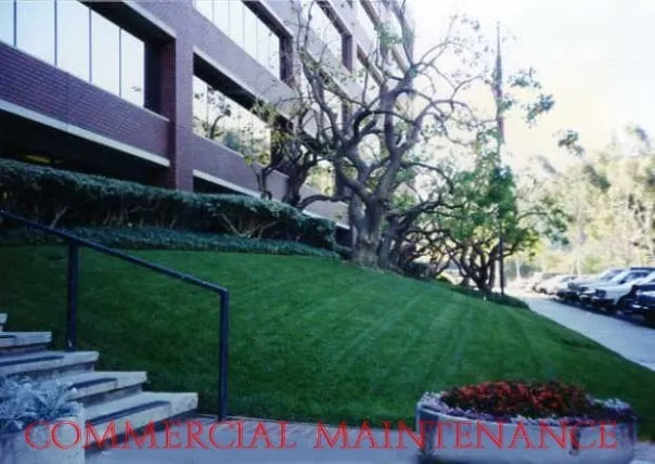 Custom lawn mowing service in Poway, CA - Winder Landscape