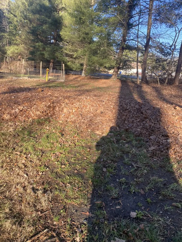 Professional landscape design for residential properties in Midlothian, VA by Winder Lawncare Services