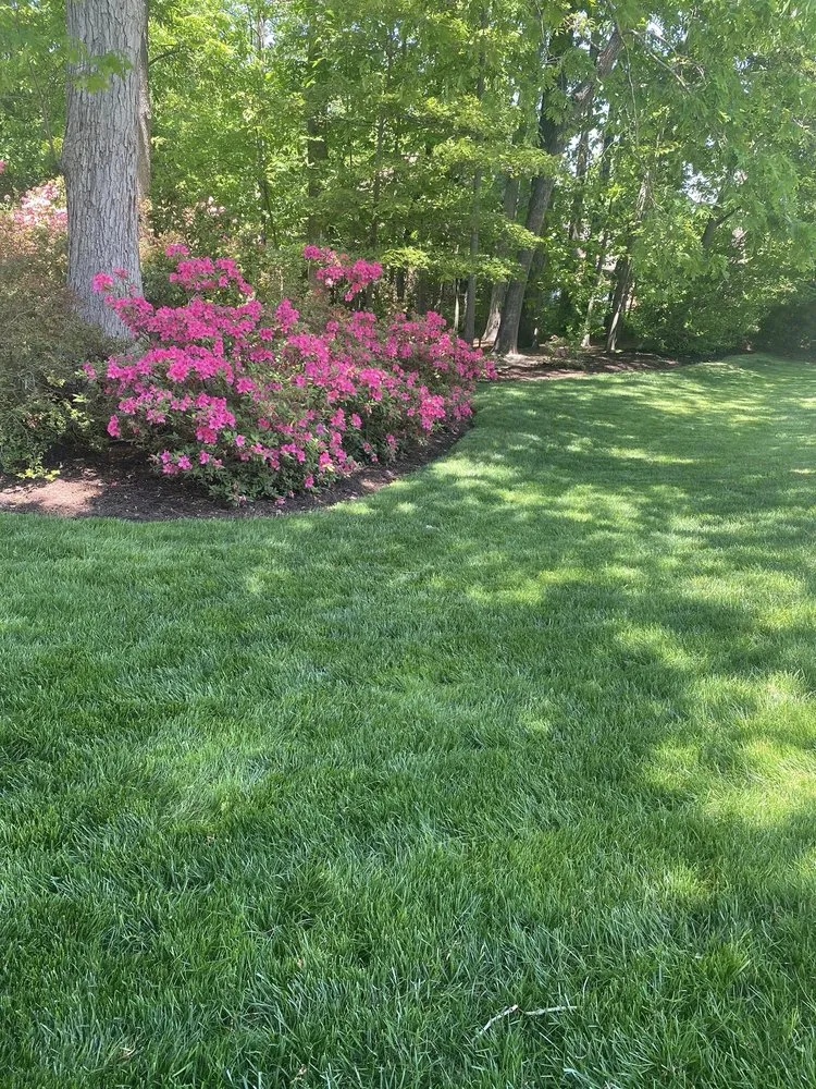 Affordable landscape installation experts serving Midlothian, VA - Winder Lawncare Services