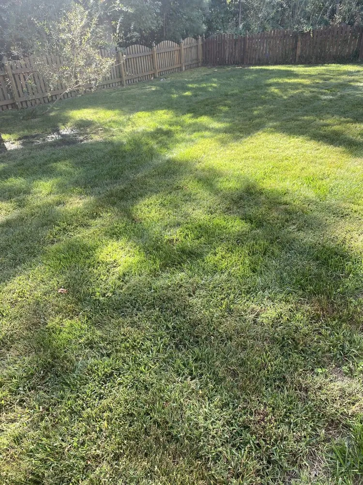 Custom landscaping services experts serving Midlothian, VA - Winder Lawncare Services