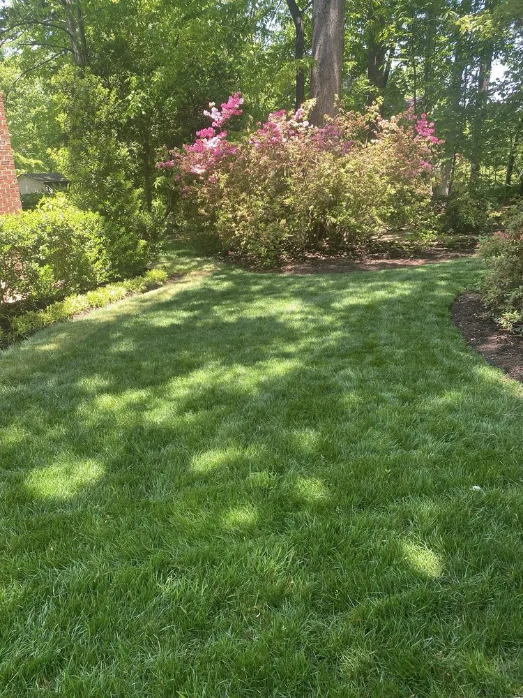 Affordable landscape design for homes in Midlothian, VA by Winder Lawncare Services