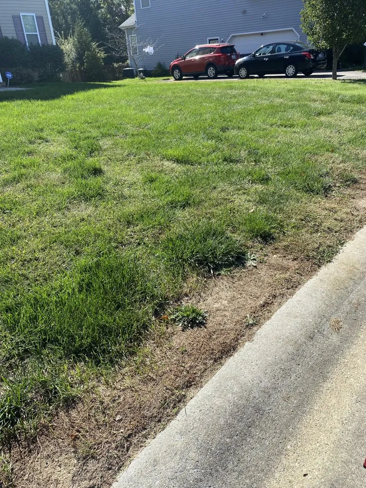 Professional landscape installation experts serving Midlothian, VA - Winder Lawncare Services