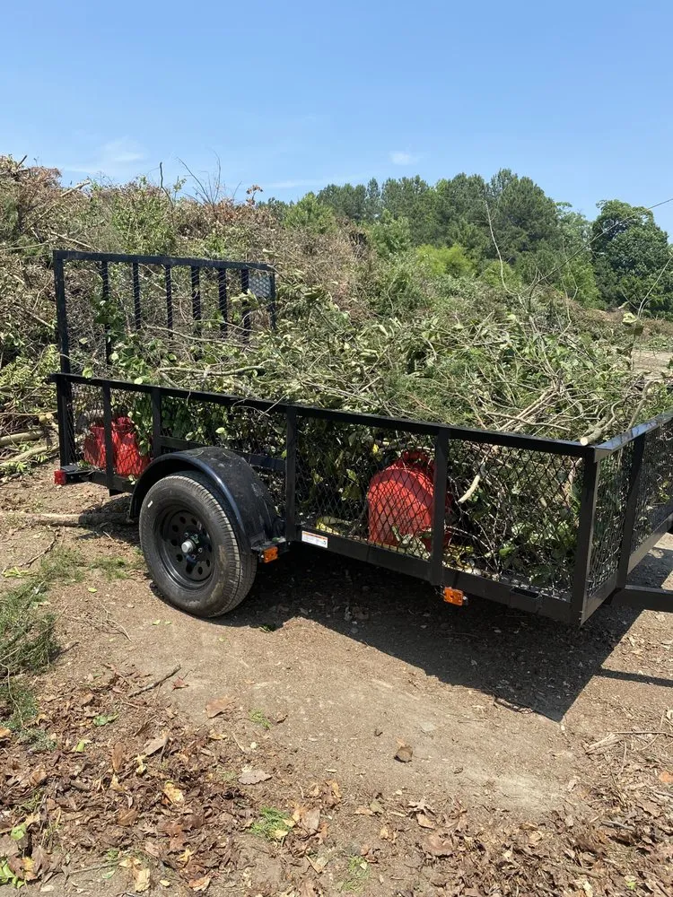 Expert yard cleanup service in Midlothian, VA by Winder Lawncare Services