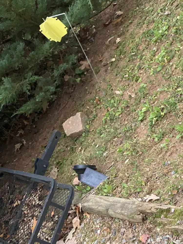 Professional yard maintenance experts serving Midlothian, VA - Winder Lawncare Services