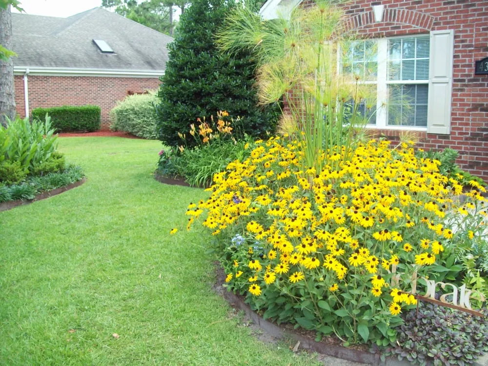 Top-rated yard cleanup service experts serving Wilmington, NC - Windflower Maintenance and Lawn Care