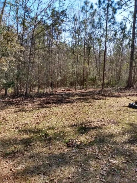 Affordable garden landscaping in Seminary, MS - Windham's Mulching & Services