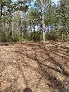 Top-rated yard maintenance for year-round maintenance in Seminary, MS by Windham's Mulching & Services