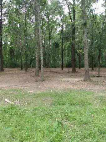 Top-rated outdoor landscaping experts serving Seminary, MS - Windham's Mulching & Services