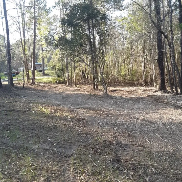 Reliable outdoor landscaping experts serving Seminary, MS - Windham's Mulching & Services