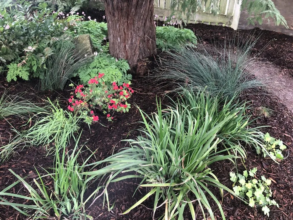 Expert yard maintenance experts serving Sebastopol, CA - Windhorse Orchard