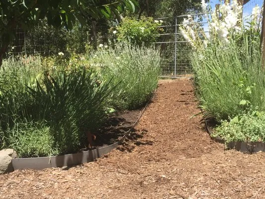 Windhorse Orchard Logo