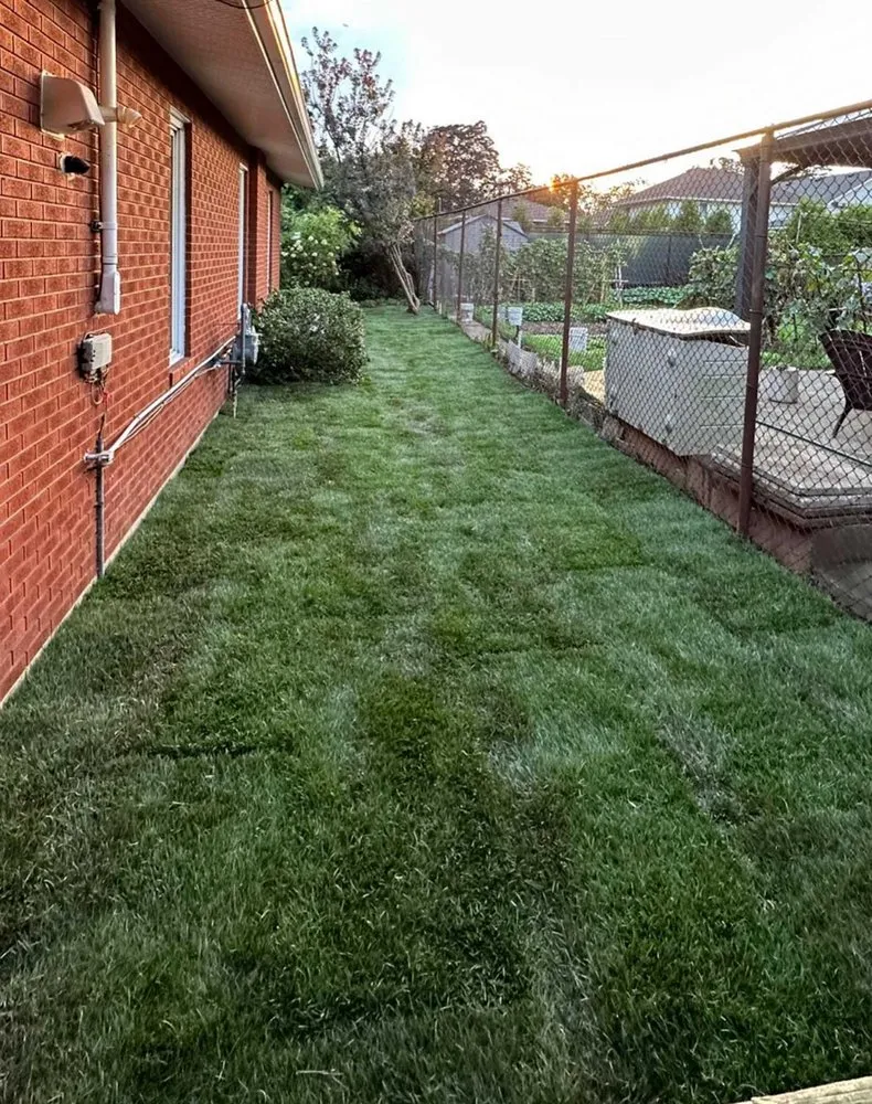 Expert residential landscaping for year-round maintenance in Orlando, FL by Windhover Lawn Care