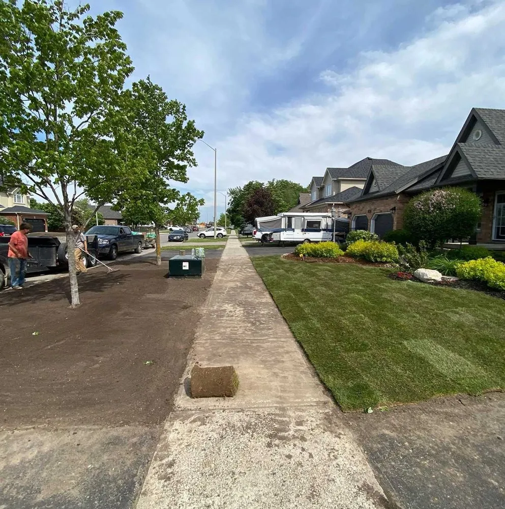 Affordable lawn mowing service for beautiful yards in Orlando, FL by Windhover Lawn Care