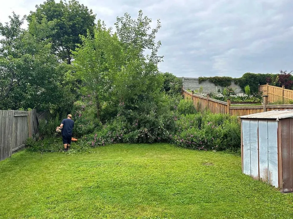 Custom landscape installation experts serving Orlando, FL - Windhover Lawn Care