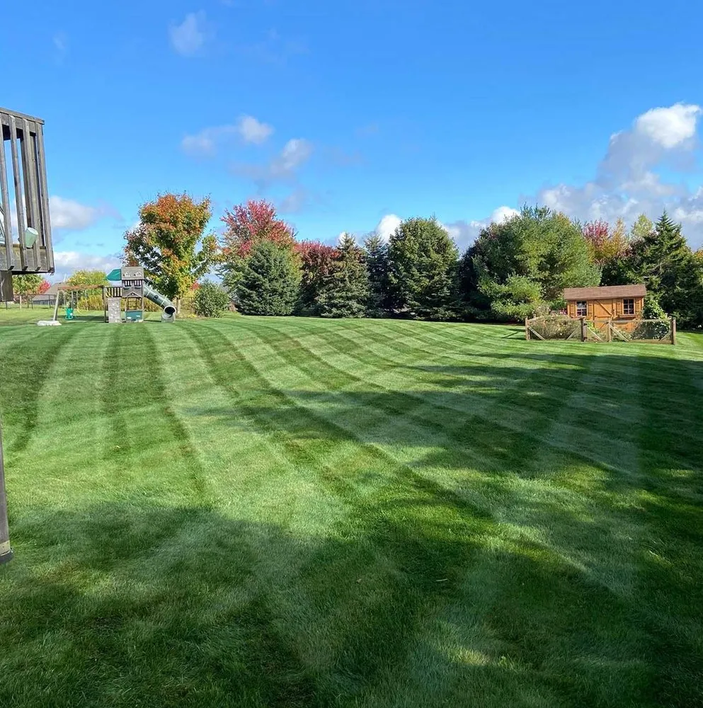 Custom yard maintenance experts serving Orlando, FL - Windhover Lawn Care