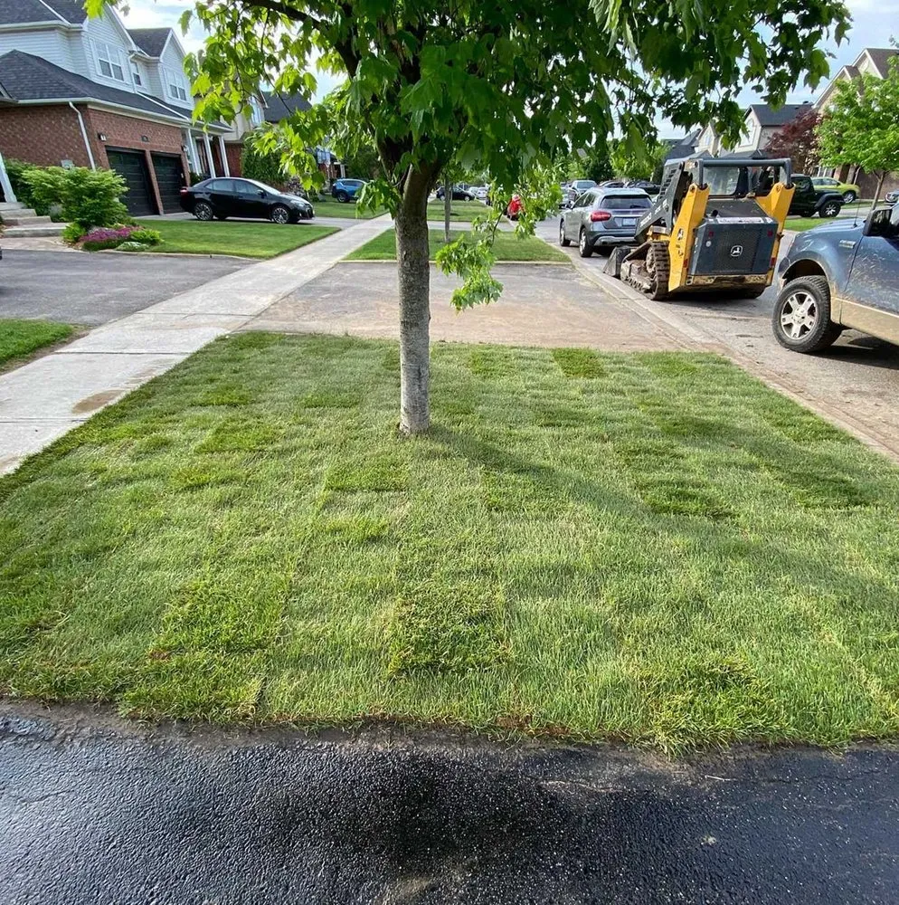 Professional garden landscaping for residential properties across Orlando, FL - Windhover Lawn Care