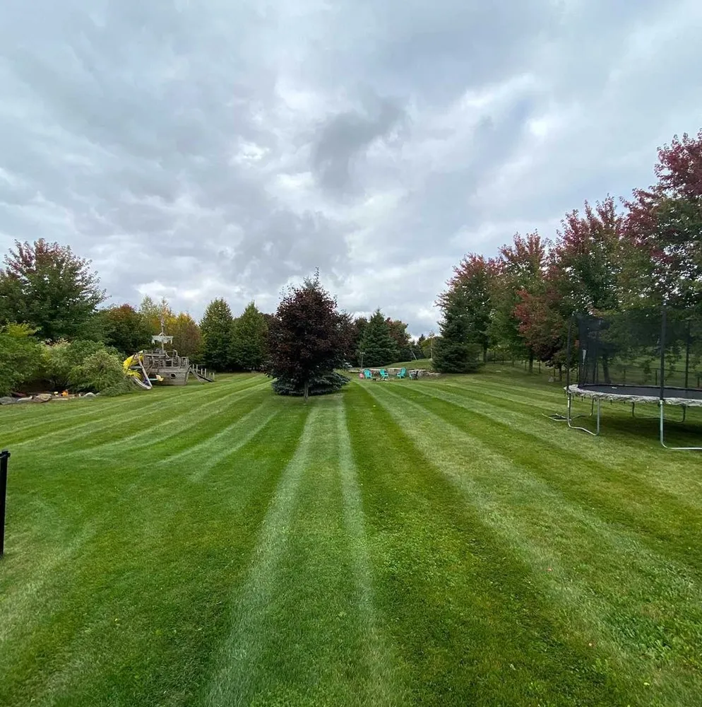 Top-rated landscaping services for beautiful yards across Orlando, FL - Windhover Lawn Care