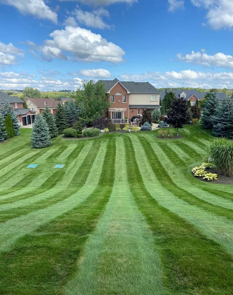 Local yard maintenance in Orlando, FL - Windhover Lawn Care