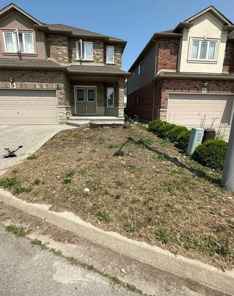 Trusted lawn care service experts serving Orlando, FL - Windhover Lawn Care