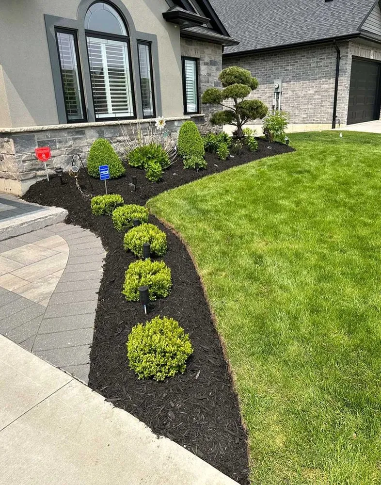 Trusted lawn care service for outdoor upgrades across Orlando, FL - Windhover Lawn Care