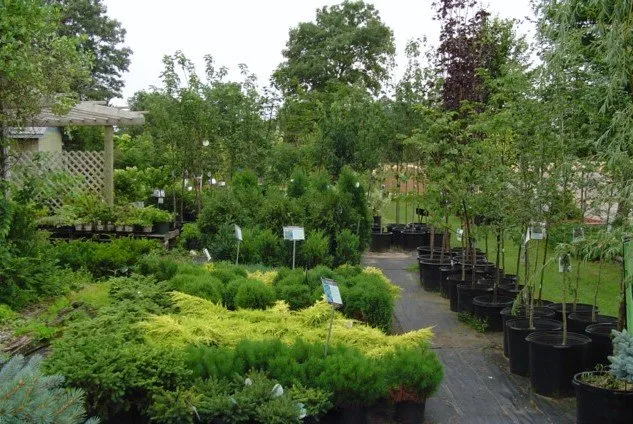 Affordable landscape design for beautiful yards across New Lisbon, WI - Winding Rivers Landscape & Garden Center