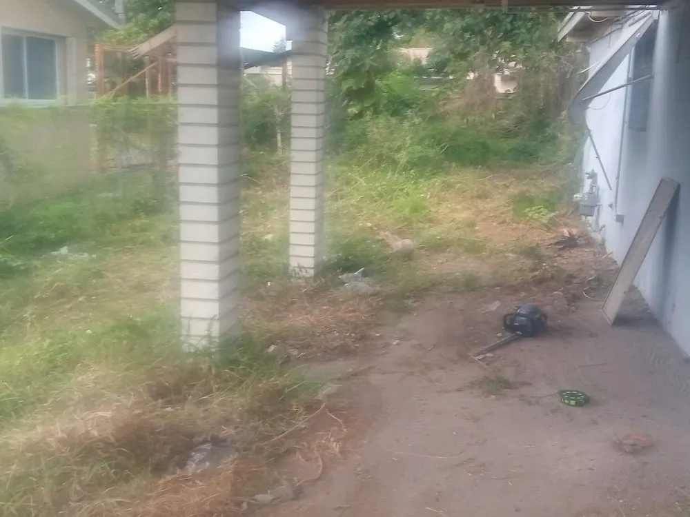 Trusted lawn care service in Miami, FL by Windom & Kids Lawn Care Service