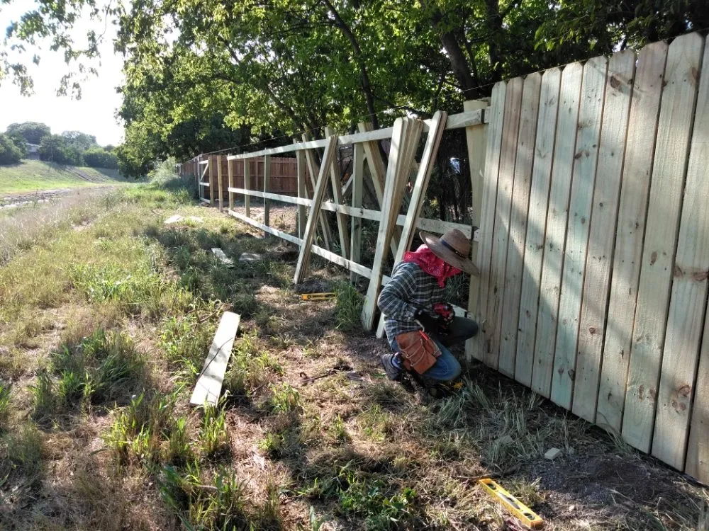 Local landscape installation in Olmos Park, TX by Window tint, lawns, fences.