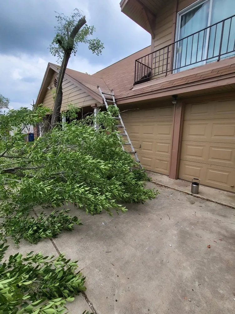 Expert lawn mowing service with custom design across Olmos Park, TX - Window tint, lawns, fences.