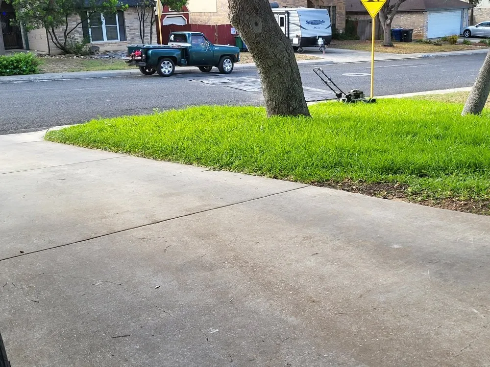 Professional lawn care service in Olmos Park, TX - Window tint, lawns, fences.