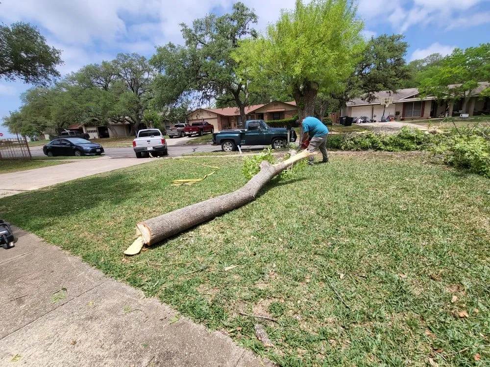 Reliable lawn mowing service in Olmos Park, TX by Window tint, lawns, fences.