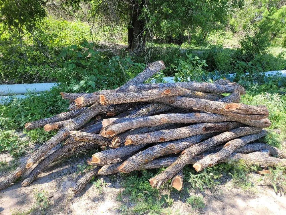 Expert landscape installation with custom design in Olmos Park, TX by Window tint, lawns, fences.