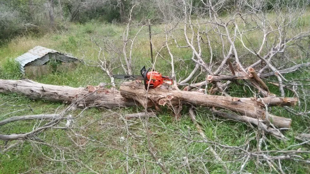 Top-rated yard cleanup service experts serving Olmos Park, TX - Window tint, lawns, fences.