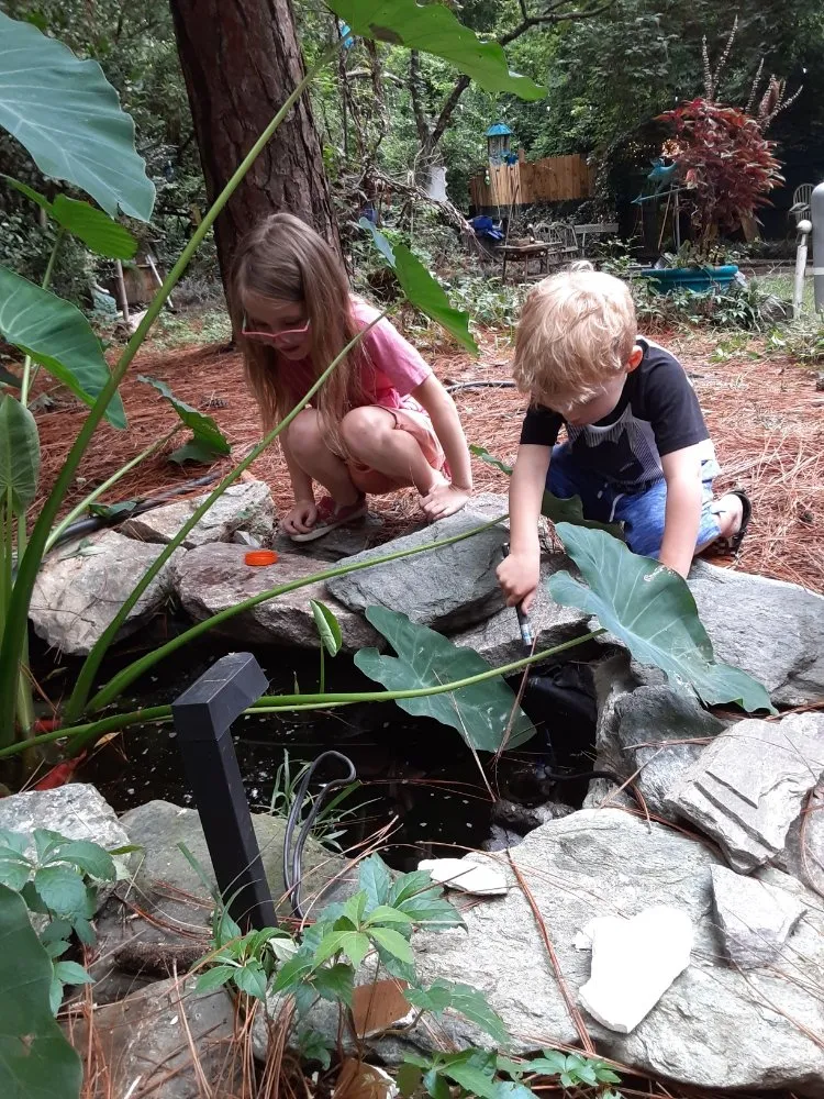 Professional yard cleanup service in Pinehurst, NC by Window Washing Clean