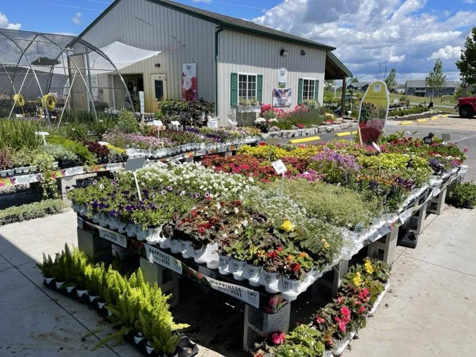 Affordable landscape design experts serving Zeeland Charter Township, MI - Windridge Perennials & Landscaping