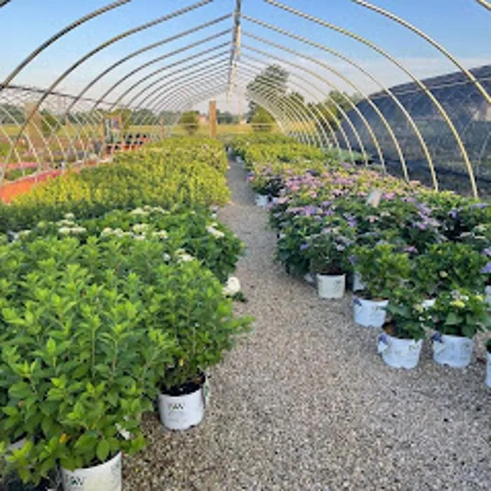 Trusted residential landscaping experts serving Zeeland Charter Township, MI - Windridge Perennials & Landscaping