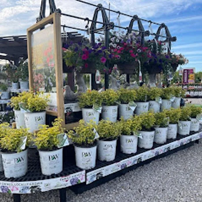Local garden landscaping in Zeeland Charter Township, MI by Windridge Perennials & Landscaping