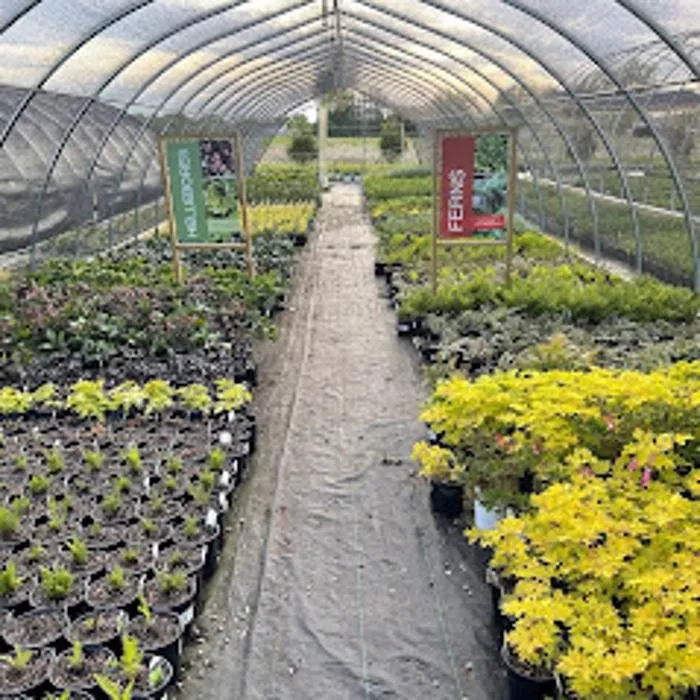Custom yard maintenance for residential properties across Zeeland Charter Township, MI - Windridge Perennials & Landscaping