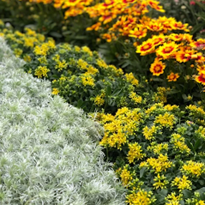 Affordable landscaping services for residential properties in Zeeland Charter Township, MI by Windridge Perennials & Landscaping