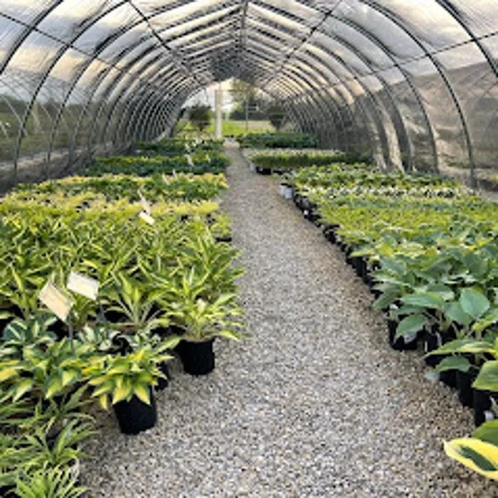 Local yard maintenance in Zeeland Charter Township, MI by Windridge Perennials & Landscaping