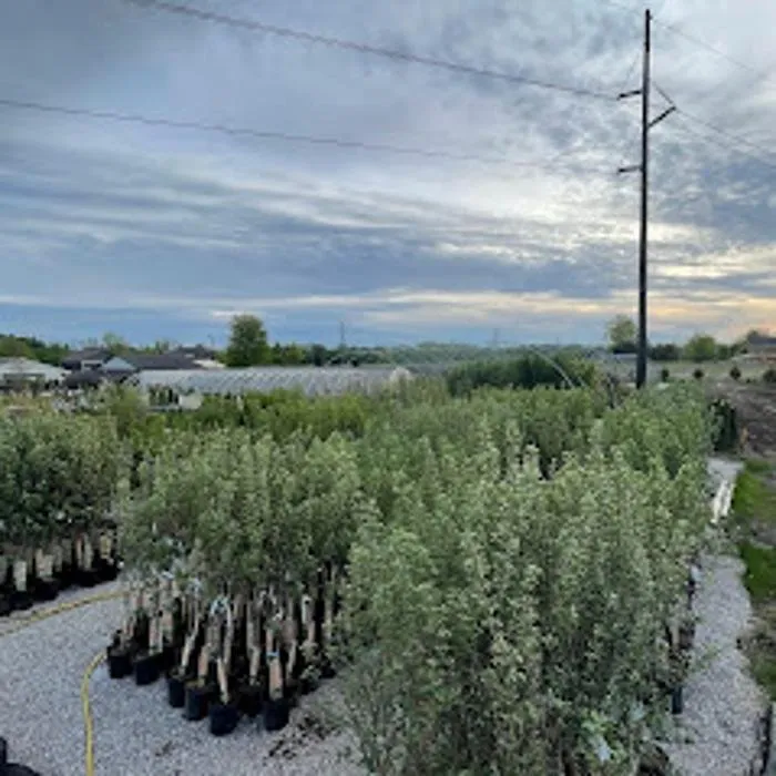 Professional landscaping services in Zeeland Charter Township, MI by Windridge Perennials & Landscaping