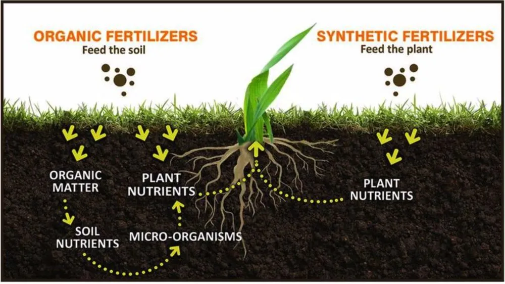 Reliable yard maintenance in Prosper, TX by Windsong Ranch Core Aeration
