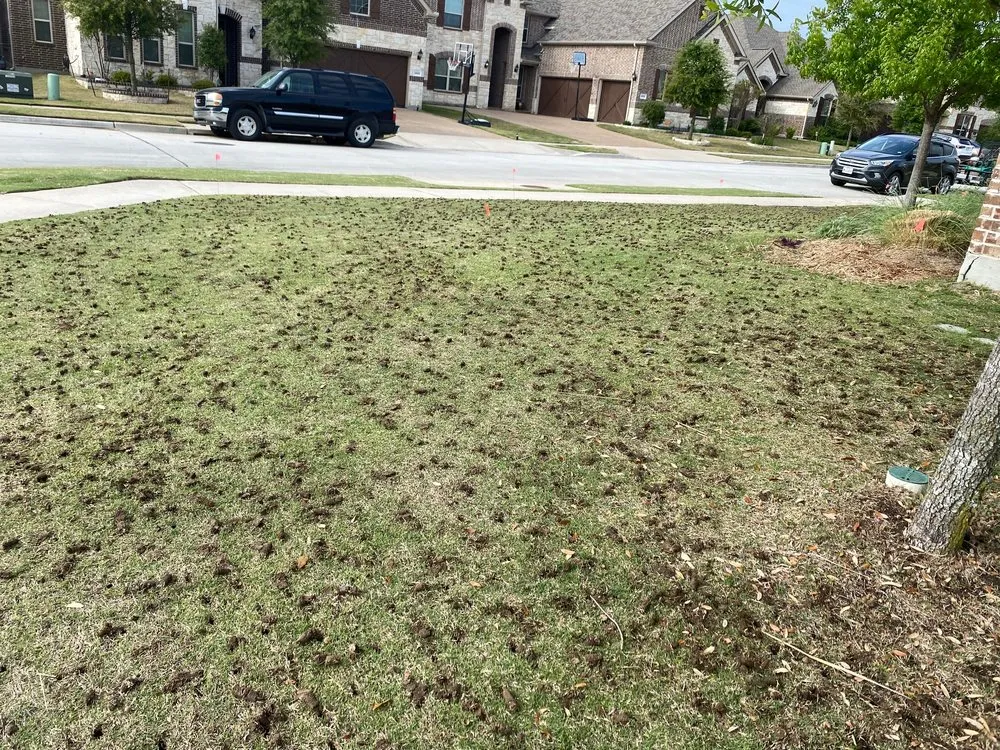Expert garden landscaping in Prosper, TX - Windsong Ranch Core Aeration