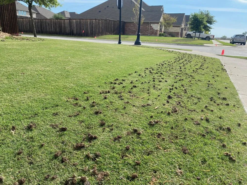 Top-rated landscape installation for beautiful yards in Prosper, TX by Windsong Ranch Core Aeration