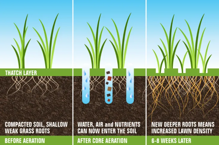 Expert garden landscaping in Prosper, TX by Windsong Ranch Core Aeration